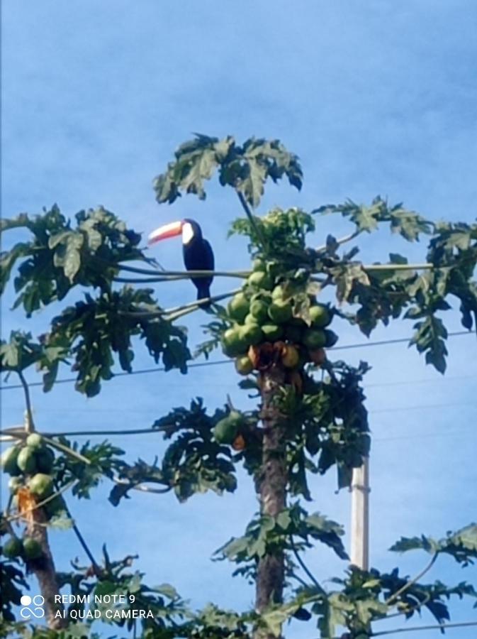 Chacara Recanto Das Pedras Para 8 Pessoas Serra Negra  Extérieur photo